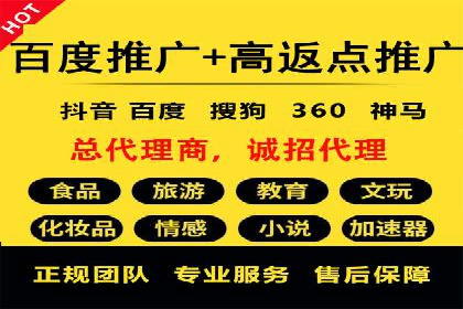 某企业通过百度竞价广告实现快速获客的实践